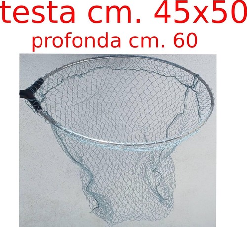 Testa guadino testata - guadino,