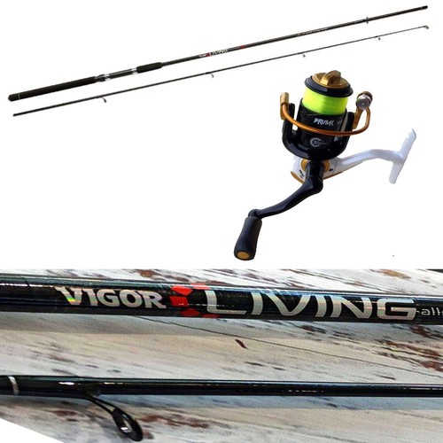 Canna pesca spinning trota - pesca,