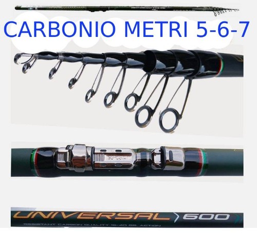 Canna pesca bolognese in - pesca,